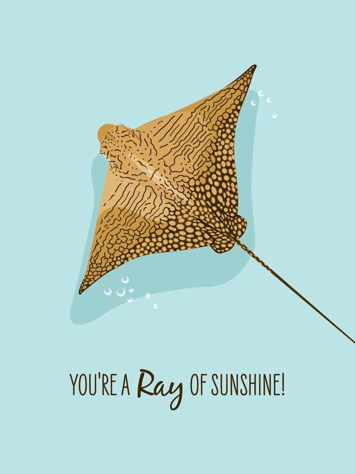 Greeting Card - Ornate Eagle Ray for wholesale by Sailfish Creative