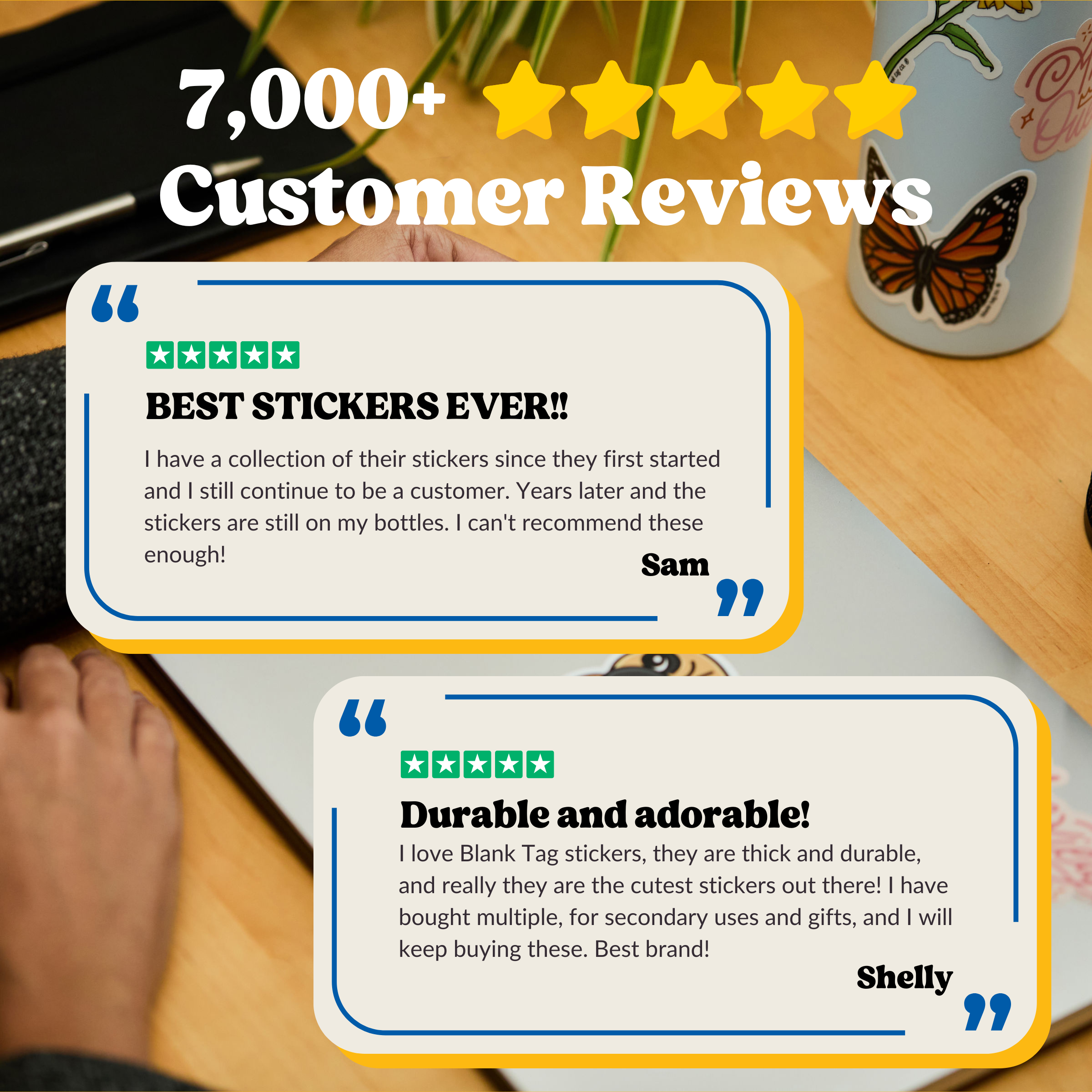 Blank Tag Co. - Waterproof Stickers - Wholesale Retailer Display Stand/Case - Best Seller Sticker Bundle with Display Stand (480 Stickers)7