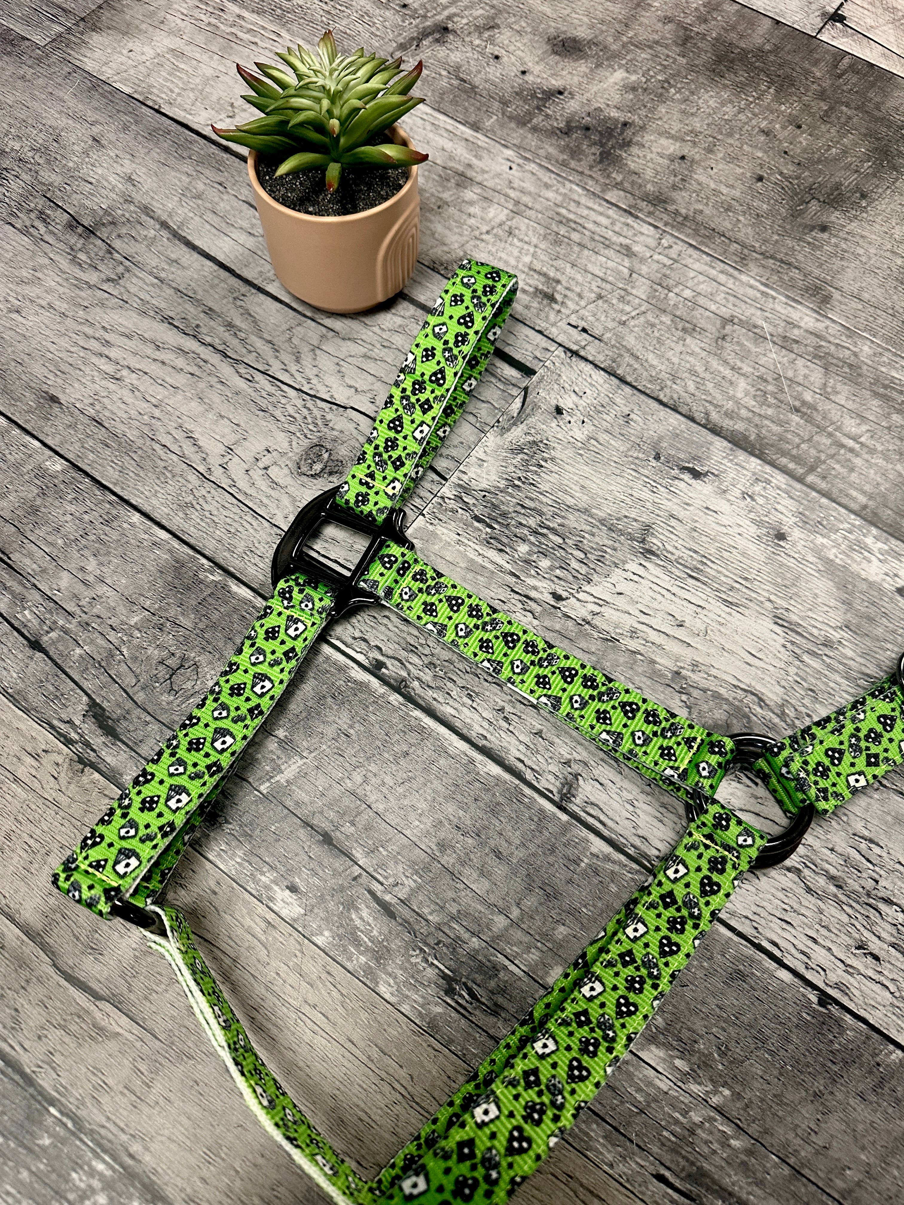 Schulz Equine - Wholesale Horseback Riding Gear - Nylon Halter - Horse Size29