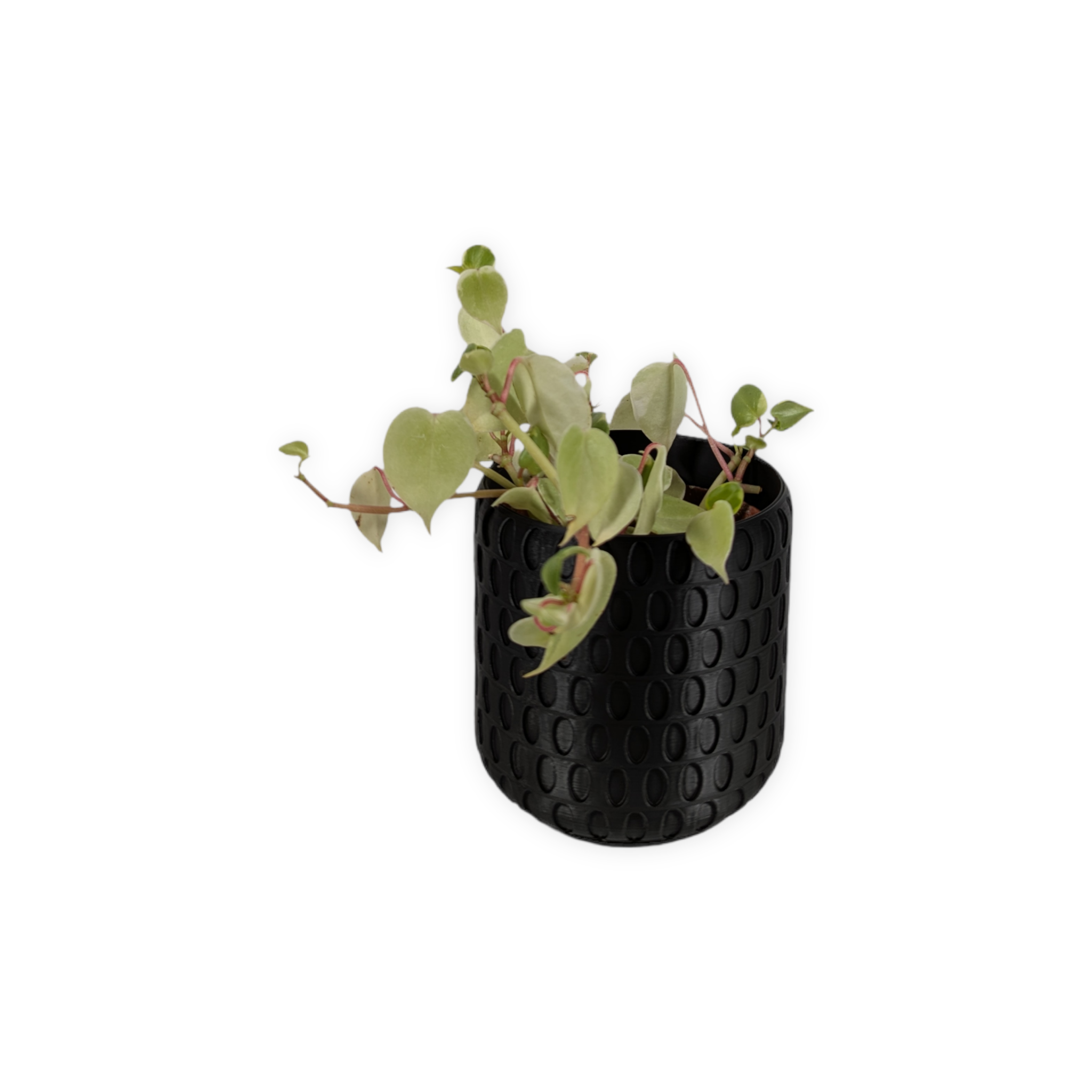 Leafprints.3d - Wholesale Plant Pot - The Bud - 4 Inch Planter with Drip Tray3