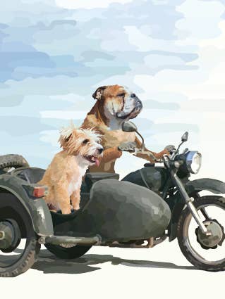 226C sidecar / dog driving a motor bike with a dog passenger for wholesale by Periodic Society