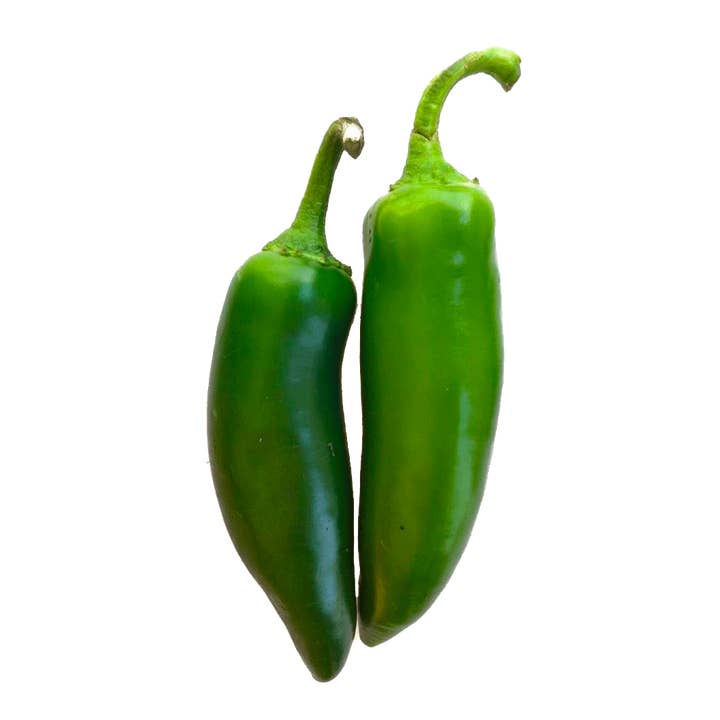 Pimenta Jalapeño por atacado de Rise Gardens