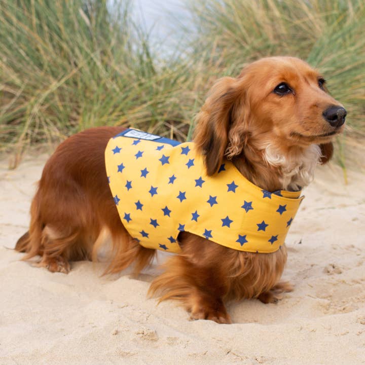 The Woofing Wardrobe - Vendita all'ingrosso Pettorina - Cani - Pettorina reversibile per cani in cotone biologico - The Amersham