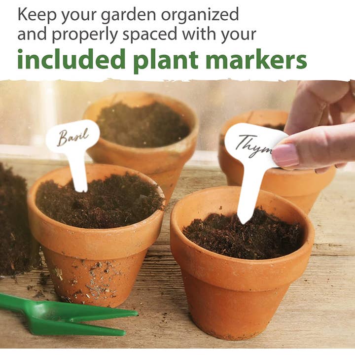 Homegrown Garden - Wholesale Plant Seeds - 15 Culinary Herb Seed Vault - Heirloom and Non GMO5