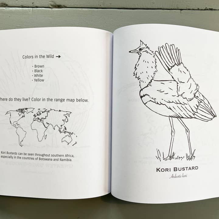 Deerhawk Art Studio - Wholesale Coloring & Activity Book - Adult - Your Guide to Doofy Birds Coloring Book2