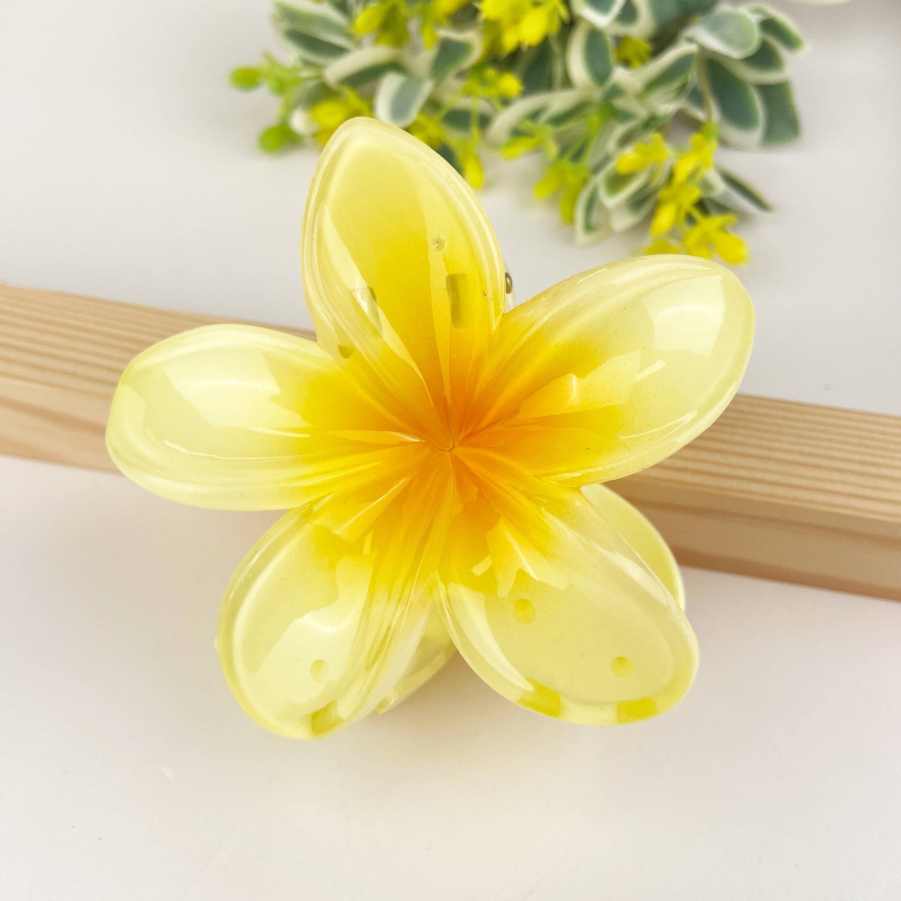 SoapElenGlen - Wholesale Hair Clip - Women's - Colorful plumeria hair Clip6