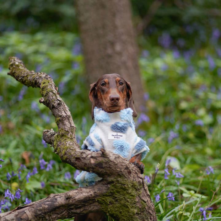 The Paw Print Boutique - Wholesale Pet jumper – Dog - The Bluebell Blue Floral Fleece16