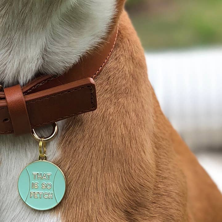 Two Tails Pet Company - Wholesale Pet Identification Tag - Dog - That is So Fetch Pet ID Tag1
