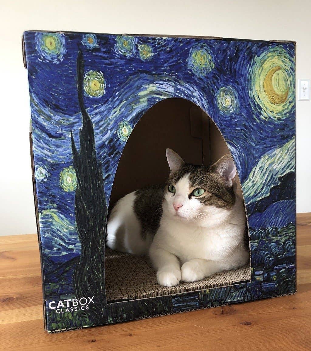 Cat Box Classics - Wholesale Krabpaal - Kat - Cartonnen kattenhuis met krabpaal in beroemde schilderijenstijl10