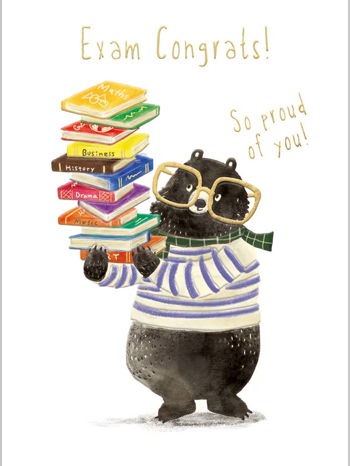 Parabéns pelo Exame Equilibrando Livros por atacado de Abacus Cards and Clare Maddicott Publications