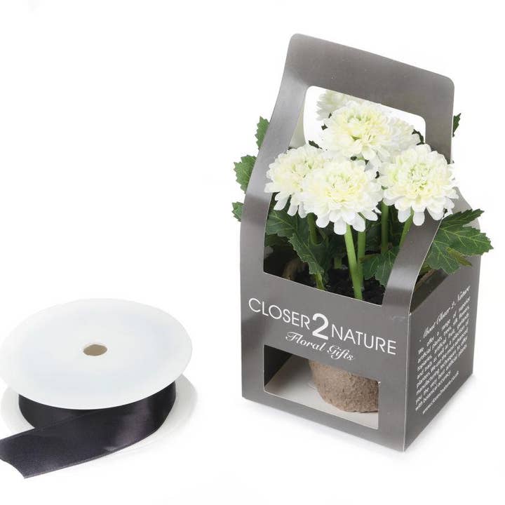 Closer2Nature – wholesale Artificial flowers – Artificial 18cm White Chrysanthemum Plant with Gift Box3