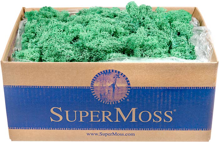 SuperMoss - Wholesale Dried/Pressed Flowers - Reindeer Moss Preserved 3lb Bulk Box2