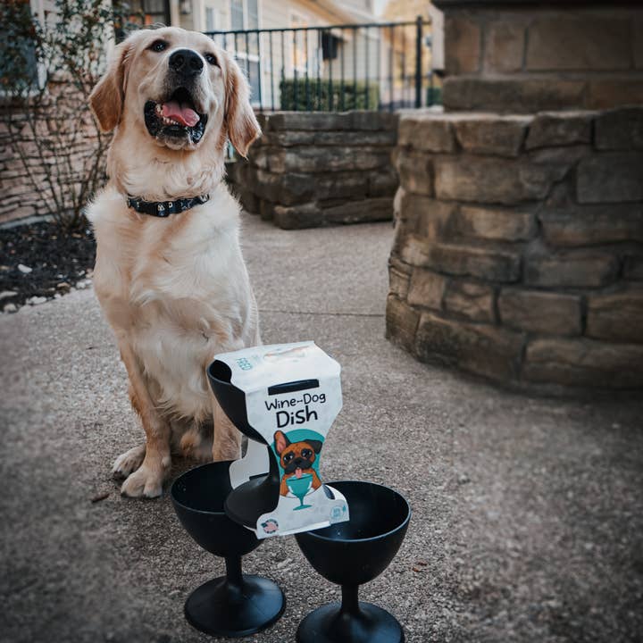 Cocktails with Fred - Wholesale Pet Bowl - Cat/Dog - Original Dog Wine Dish- Dog Bowl in a Wine Glass Design