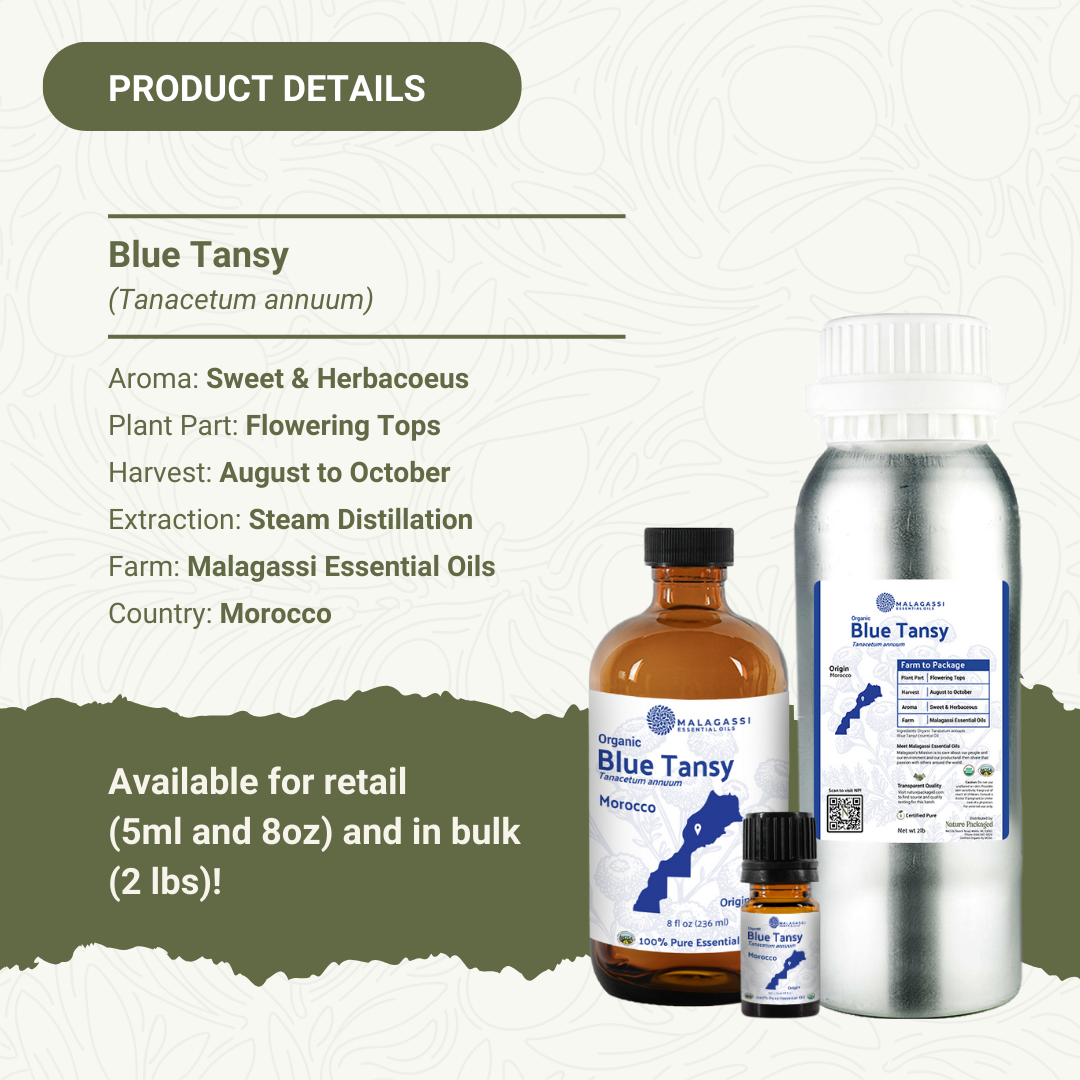 Nature Packaged – wholesale Essential oil – Organic Blue Tansy EO - 100% Pure- Farm-Direct Sourcing3