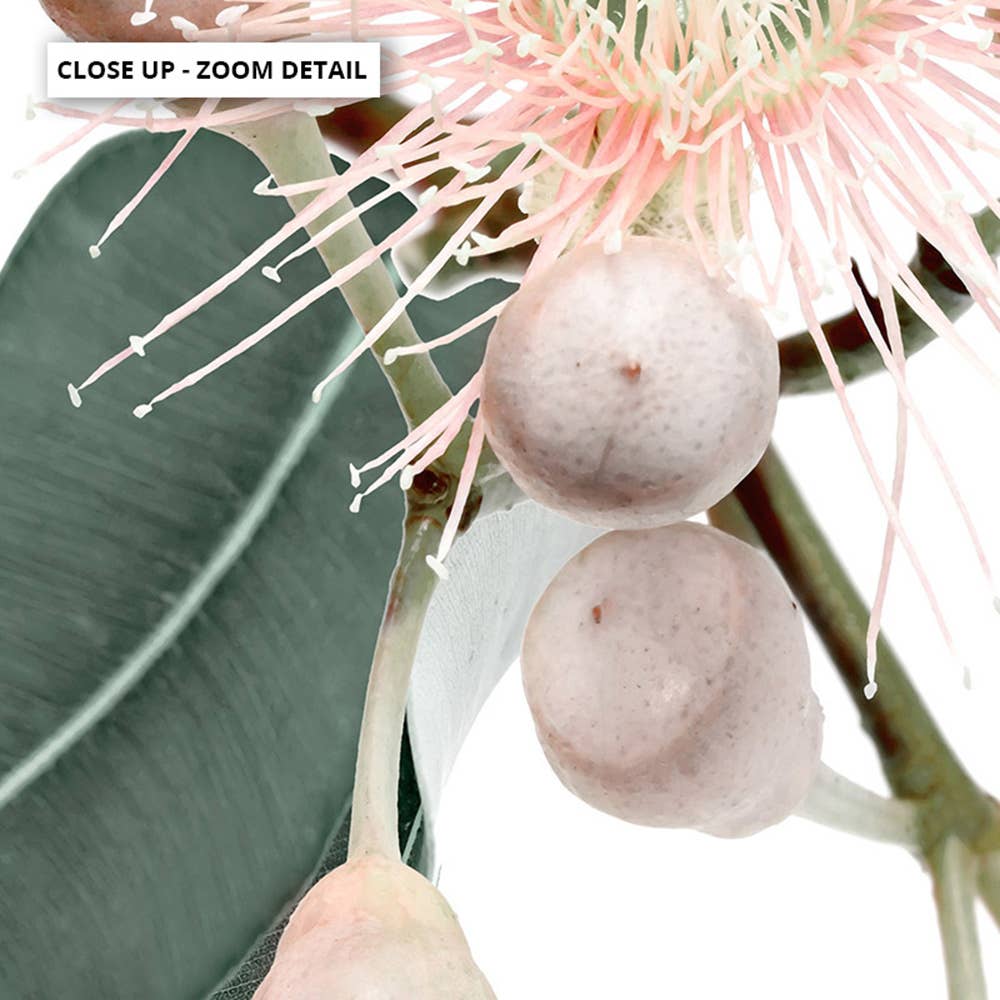 PRINT AND PROPER - Wholesale Art print - Eucalyptus Flowers Print. Native Australian Gumtree Wall Art2