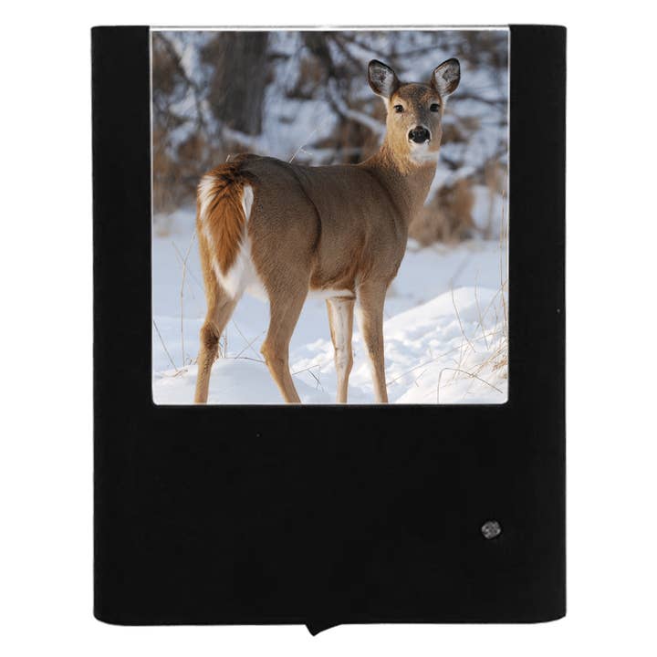 Doe pour la vente par Nightlight Studio