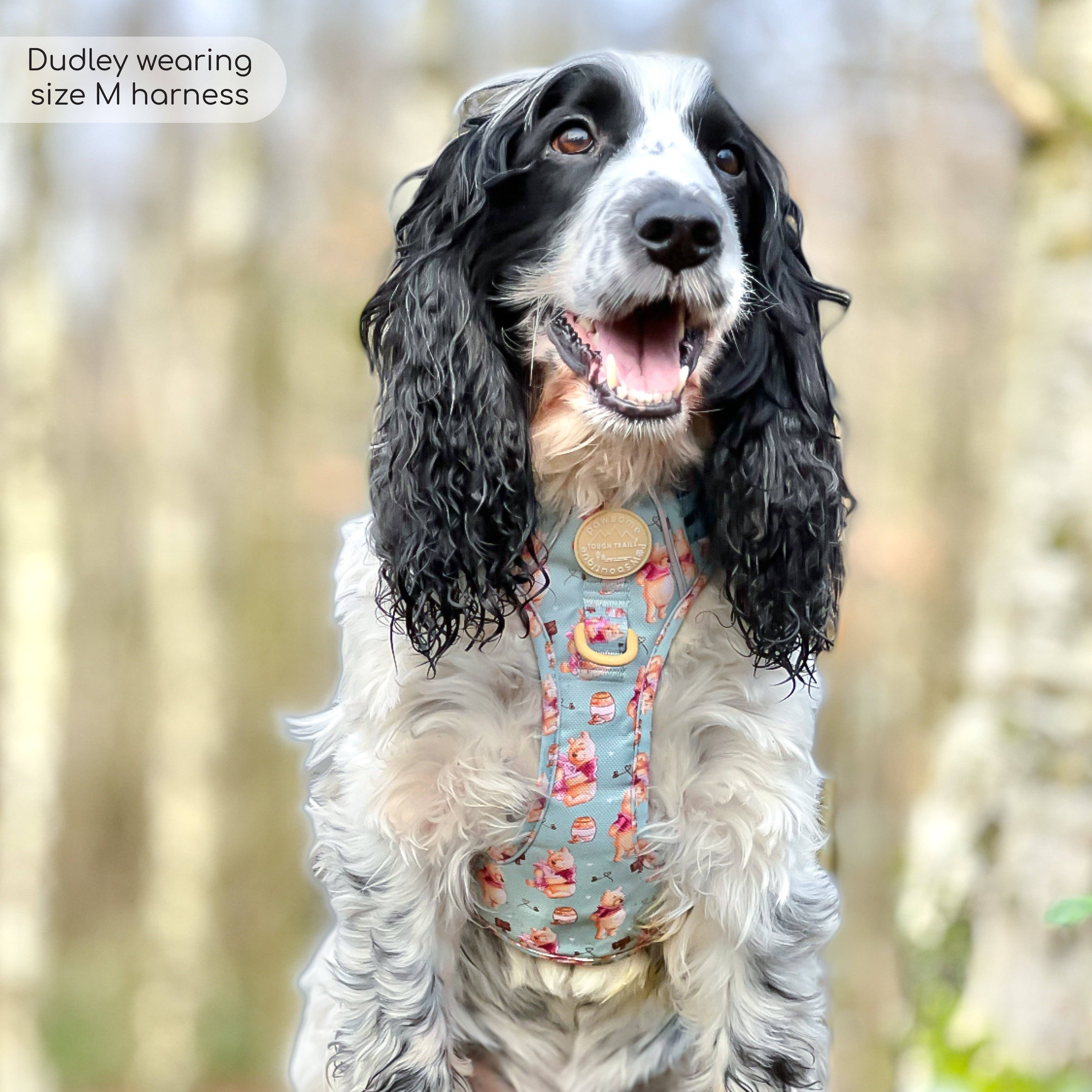 Pawsome Paws – Großhandel Haustiergeschirr – Hund – Disney© Tough Trails™ Geschirr – Winnie Puuh39