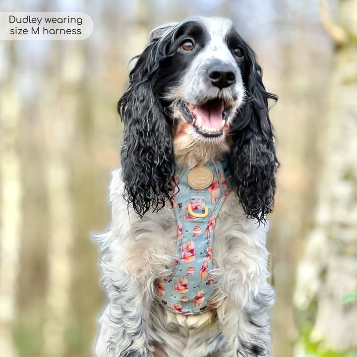 Pawsome Paws – Großhandel Haustiergeschirr – Hund – Disney© Tough Trails™ Geschirr – Winnie Puuh39