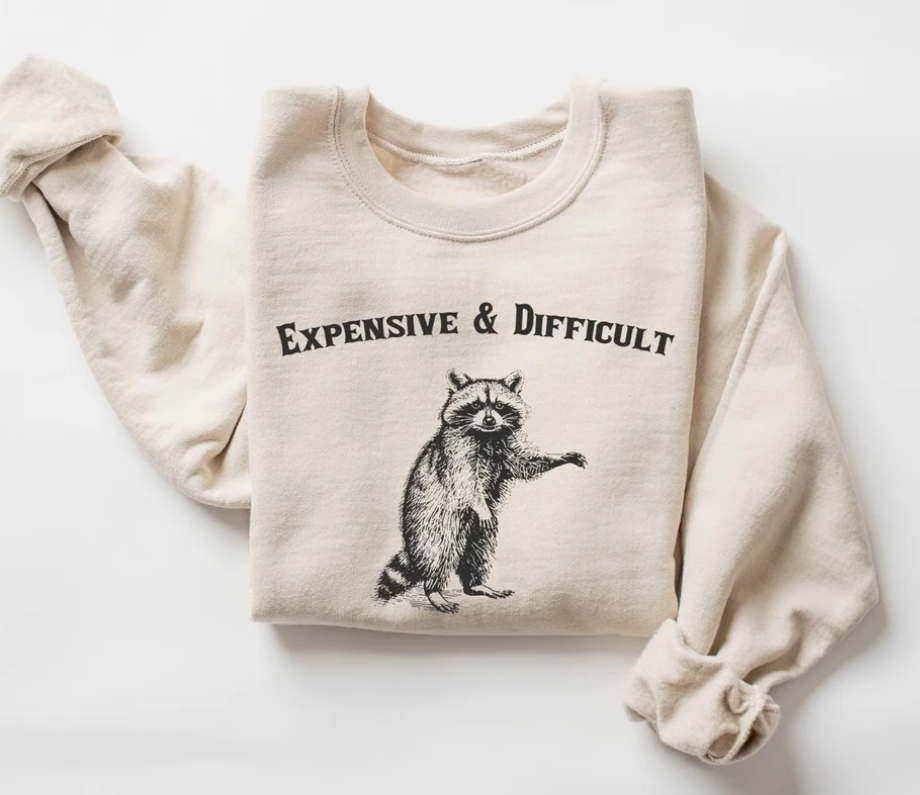 Eleven Fashion - Wholesale Graphic Sweatshirt - Women's - Expensive And Difficult Raccoon Sweatshirt0