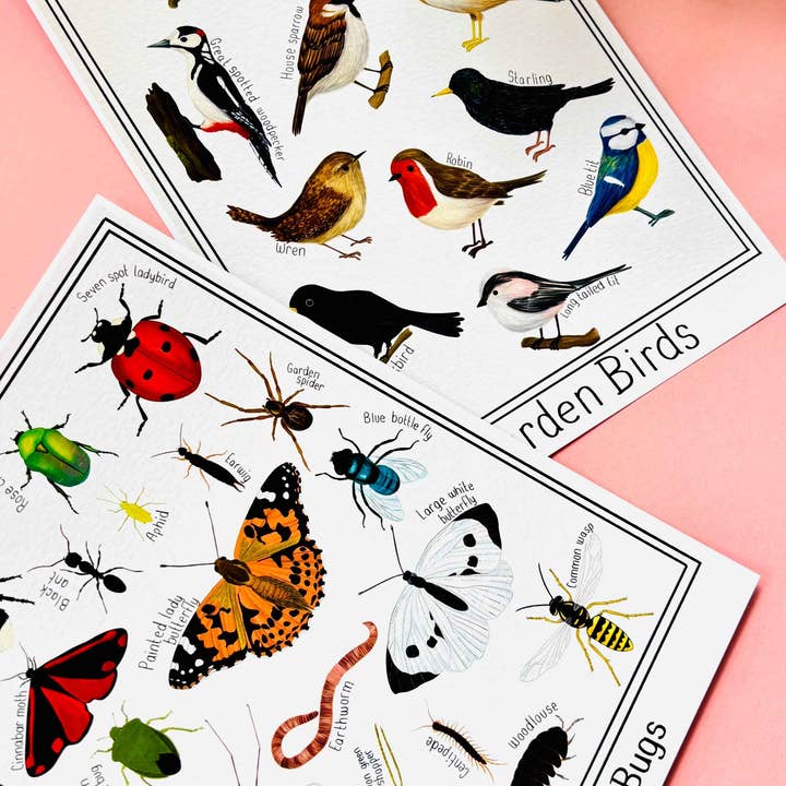 Pixiecraft - Wholesale Art Print - Garden Bug Wall Art Print: Nature Inspired Educational Prints4