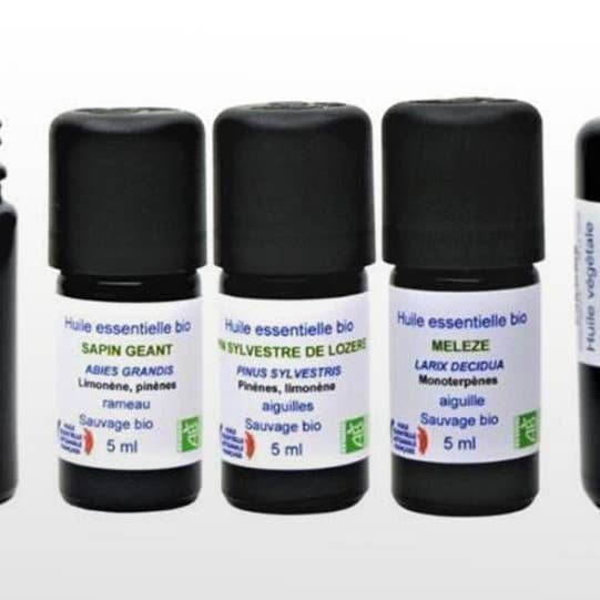 Set autunnale trio: Abete, Larice e Pino silvestre per la vendita all'ingrosso da parte di essenciagua