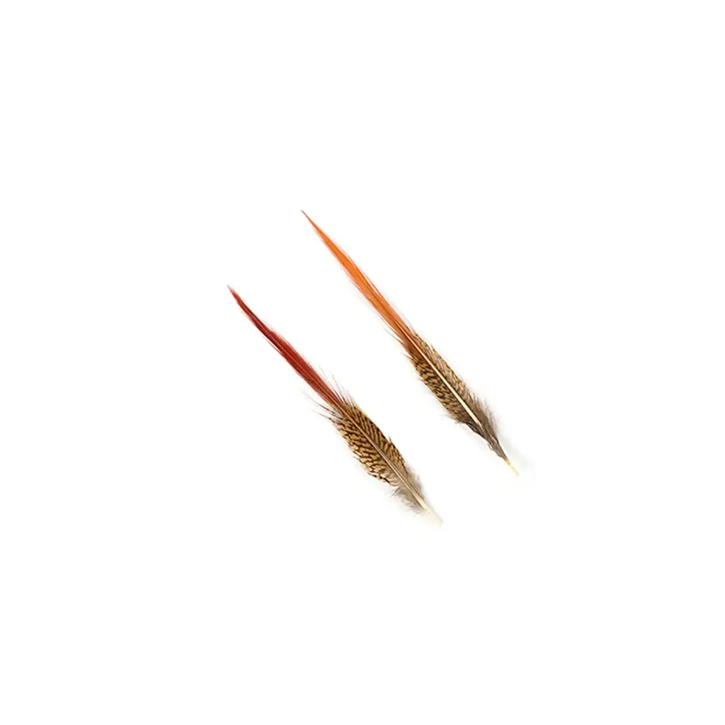Zucker Feather Products - Vente Plume - Lot de 10 queues de faisan doré, rouge, 6 à 8 po, naturelles4