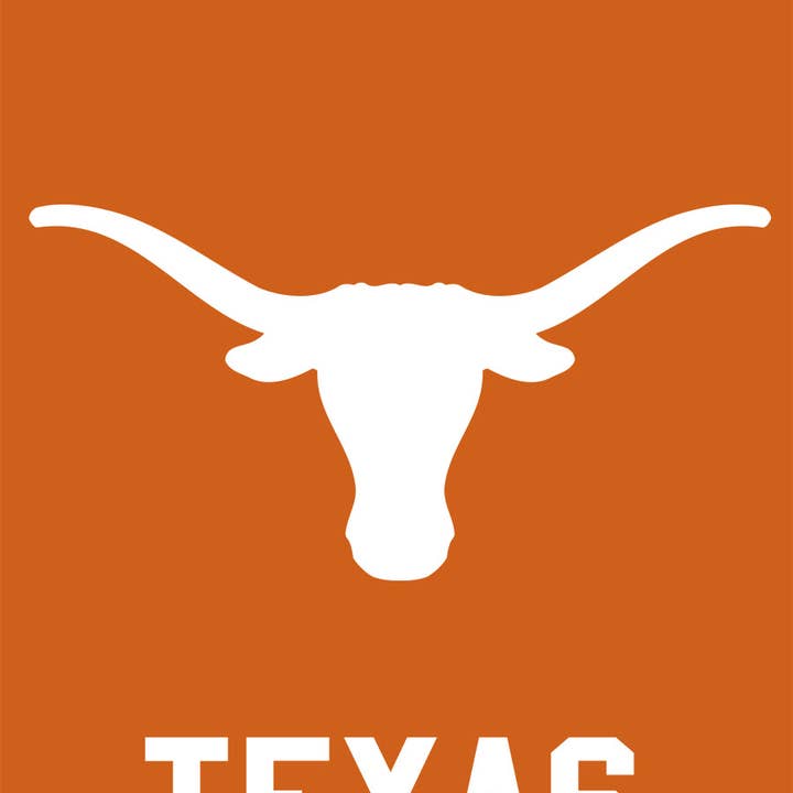 Briarwood Lane - Wholesale Flag - Texas Longhorns NCAA Garden Flag
