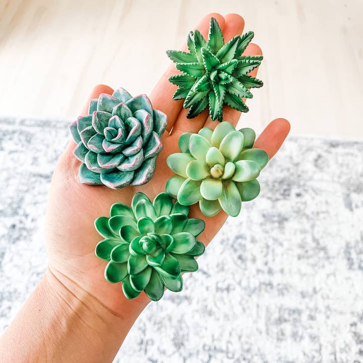 Woodbe Co - Wholesale Magnet - Mini 3D Succulent Resin Magnets1