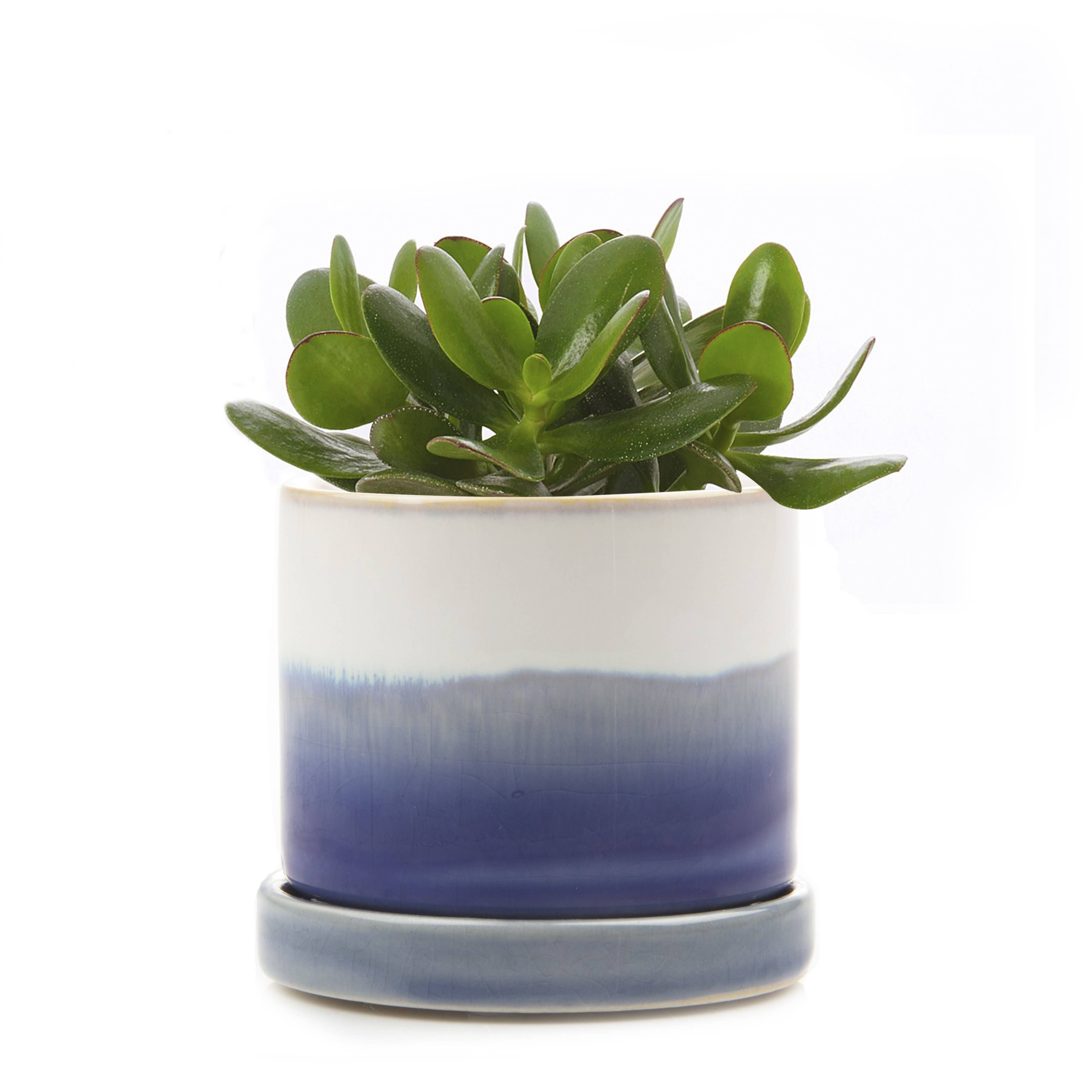 Chive UK - Wholesale Plant Pot - Minute - Glazed Modern Ceramic Pot with Saucer11