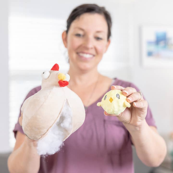 Downtown Pet Supply - Wholesale Knuffelspeeltje - Hond - 2-in-1 knuffelspeelgoed met haaien en kippen7