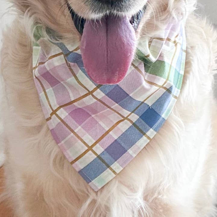 Bunny Hop Plaid Dog Bandana - Over-The-Collar Style for wholesale by Luna And Loki Design