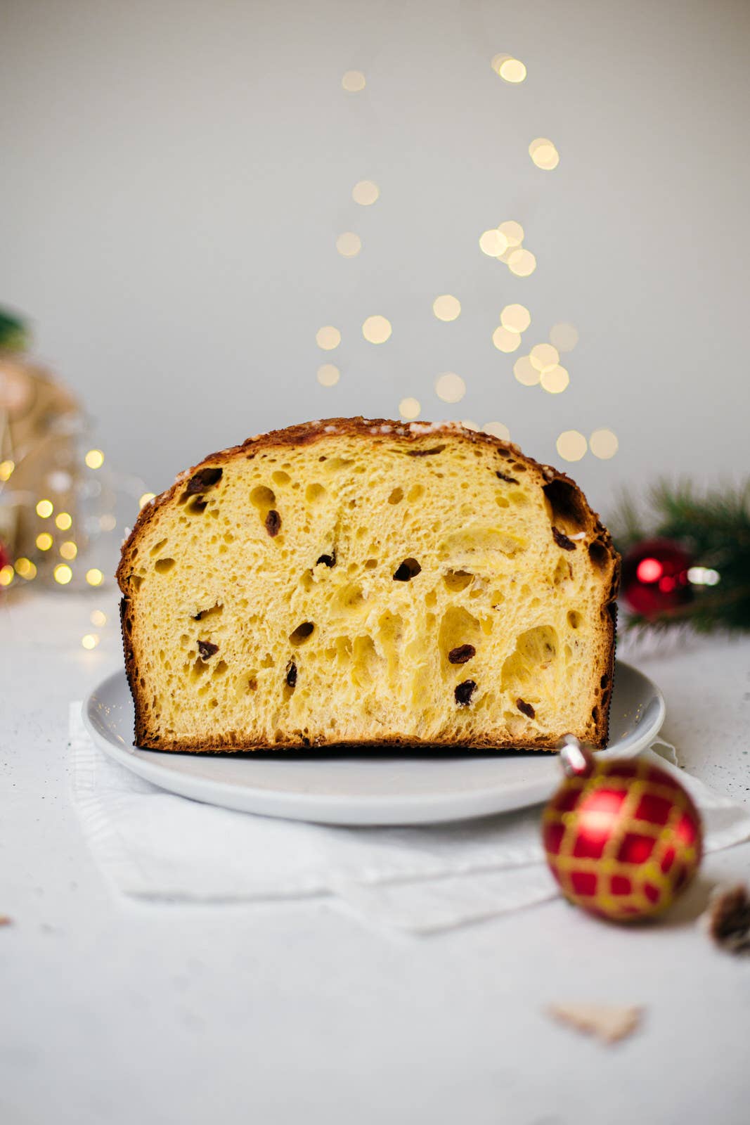 Solo Treviso - Venta al por mayor Tarta - Panettone Glera2