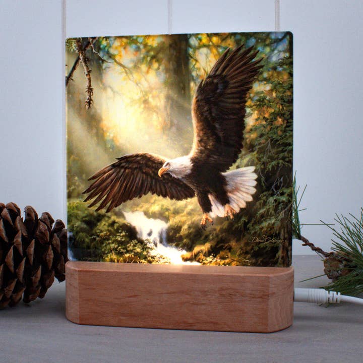 Glow Decor – wholesale Night light – Eagle's Flight LED Nightlight0
