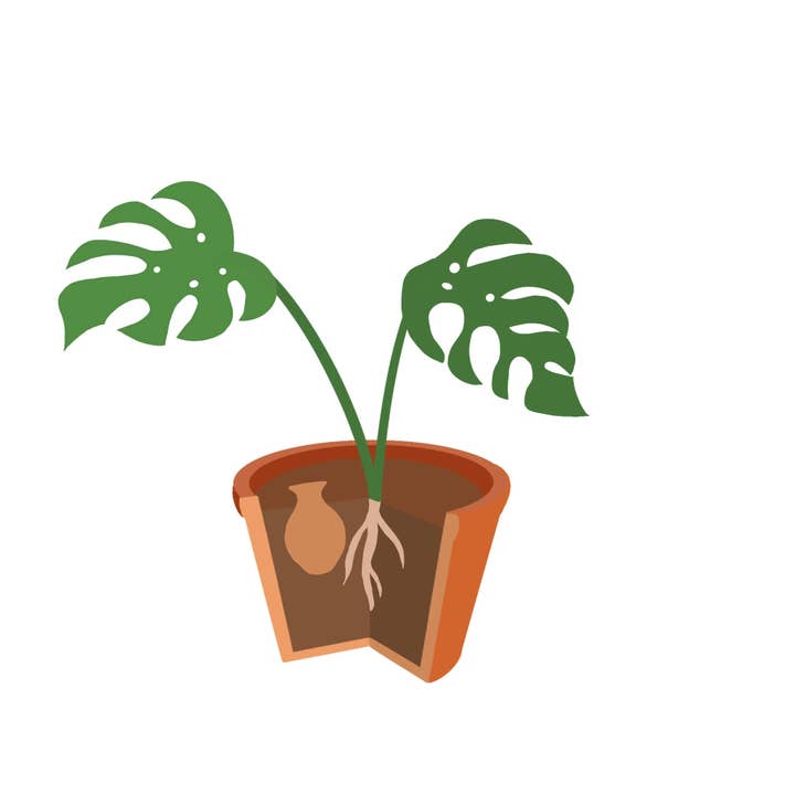 3 Oyas da seppellire taglia S per la vendita all'ingrosso da parte di Alppos