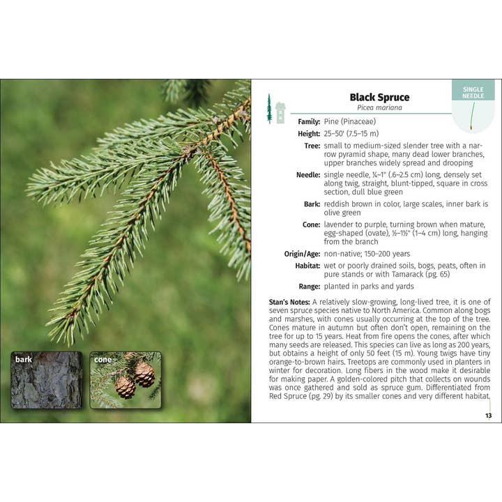 AdventureKEEN - Wholesale Nature Guide - Trees of the Carolinas Field Guide 2e