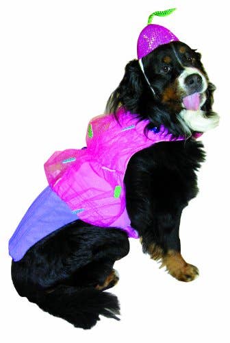 Rasta Imposta - Wholesale Pet Costume - Dog - Cupcake Dog Costume XXX-Large - for largest breeds only0