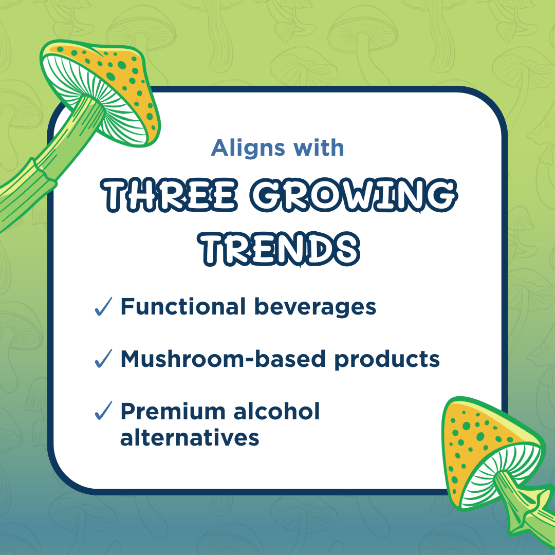 Melting Forest - Vente Eau gazeuse - Boisson aux champignons | Anti-stress | Pack varié8