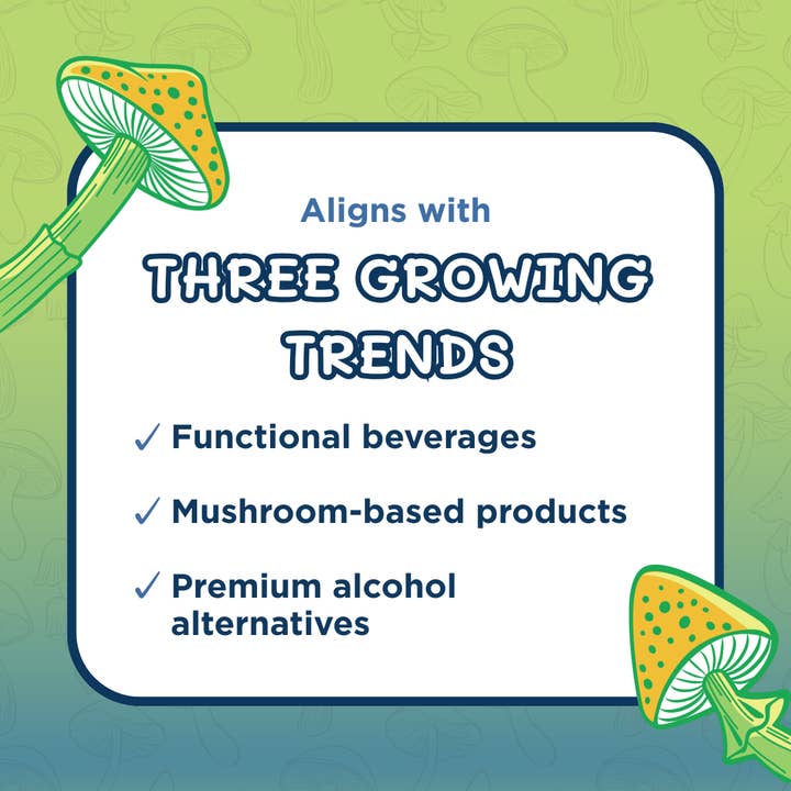 Melting Forest - Wholesale Sparkling Water - Mushroom Drink | Stress Relief | Variety Pack 8