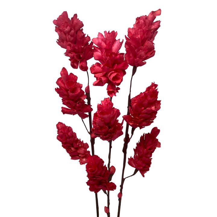 Three Stem Shola Bells-Christmas Red-Natural, Sustainable for wholesale by Wilco Home