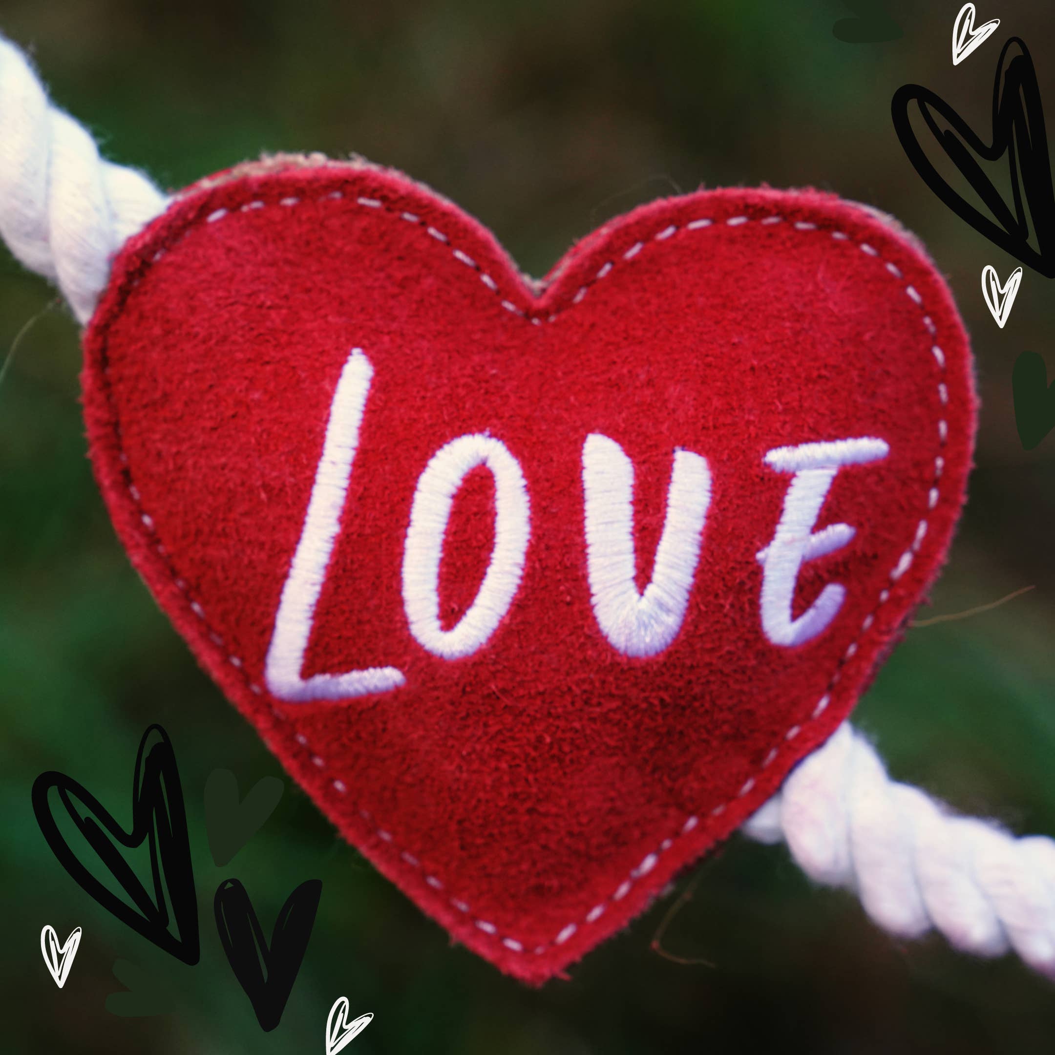 Aurora Paws - Wholesale Pet Rope Toy - Dog - Heart shaped Eco Dog Toy (Heart strings)4