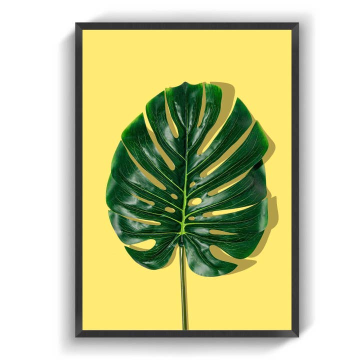 Kleur Leafs voor wholesale door IMotive