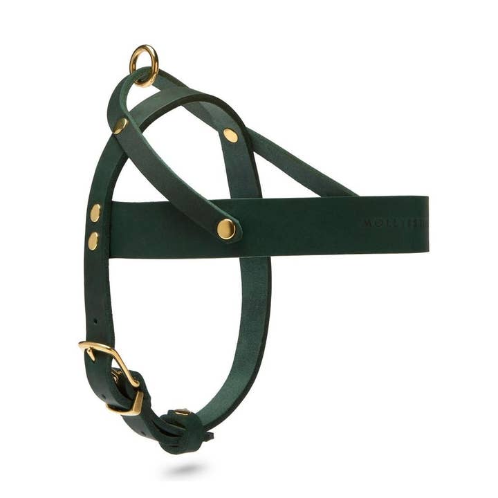 Pettorina per cani in pelle burro - Verde per la vendita all'ingrosso da parte di Molly and Stitch