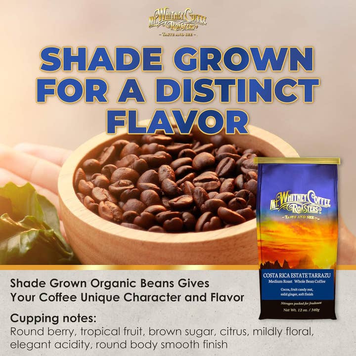 Costa Rica Estate Tarrazu 12oz Whole Bean Coffee for wholesale by Mt. Whitney Coffee Roasters