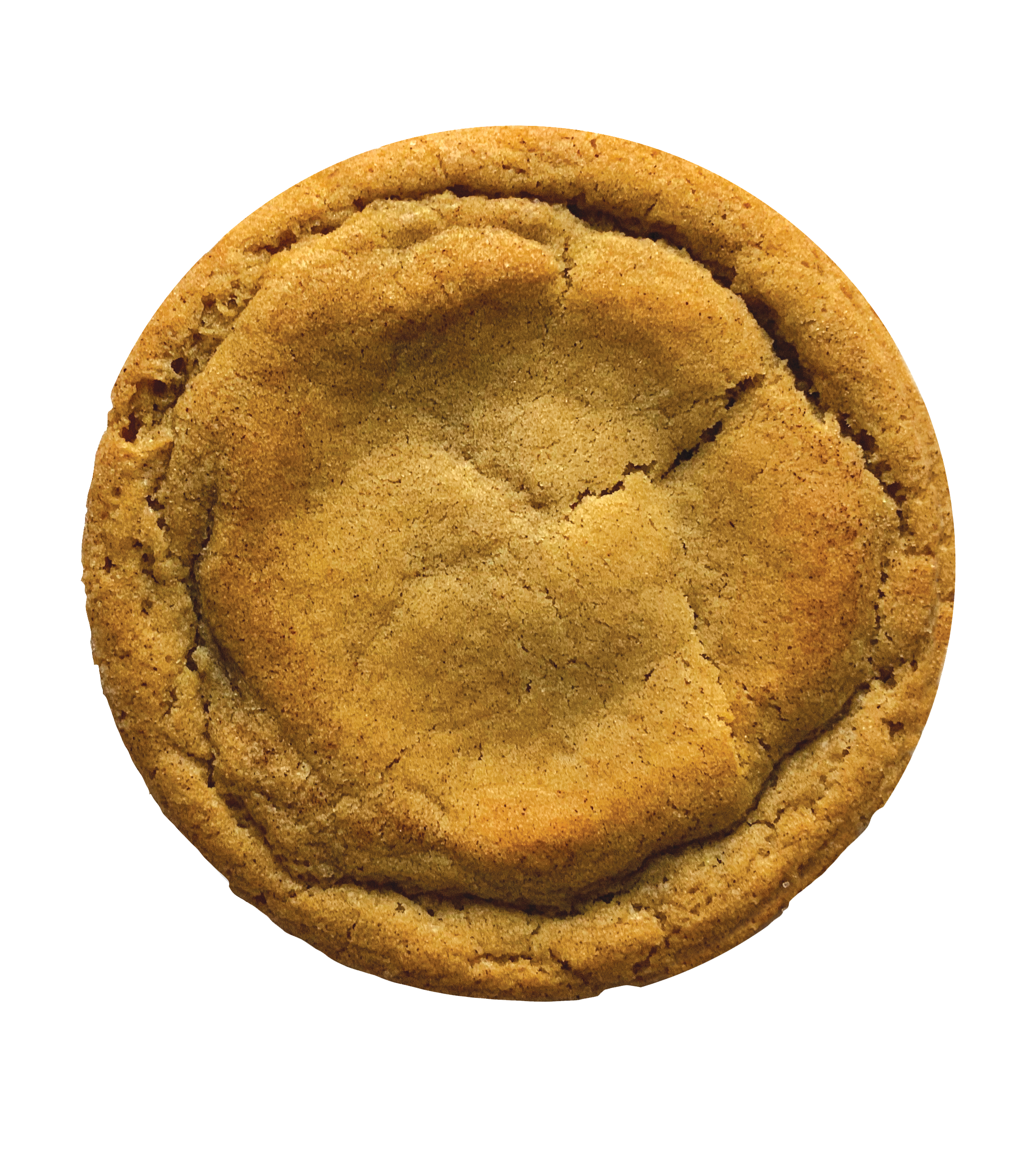 Classic Cookie® - Wholesale Cookie - Snickerdoodle2