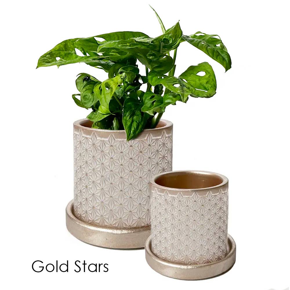 Chive - Wholesale Plant Pot - Balter Succulent Containers Cactus Pot And Saucer2