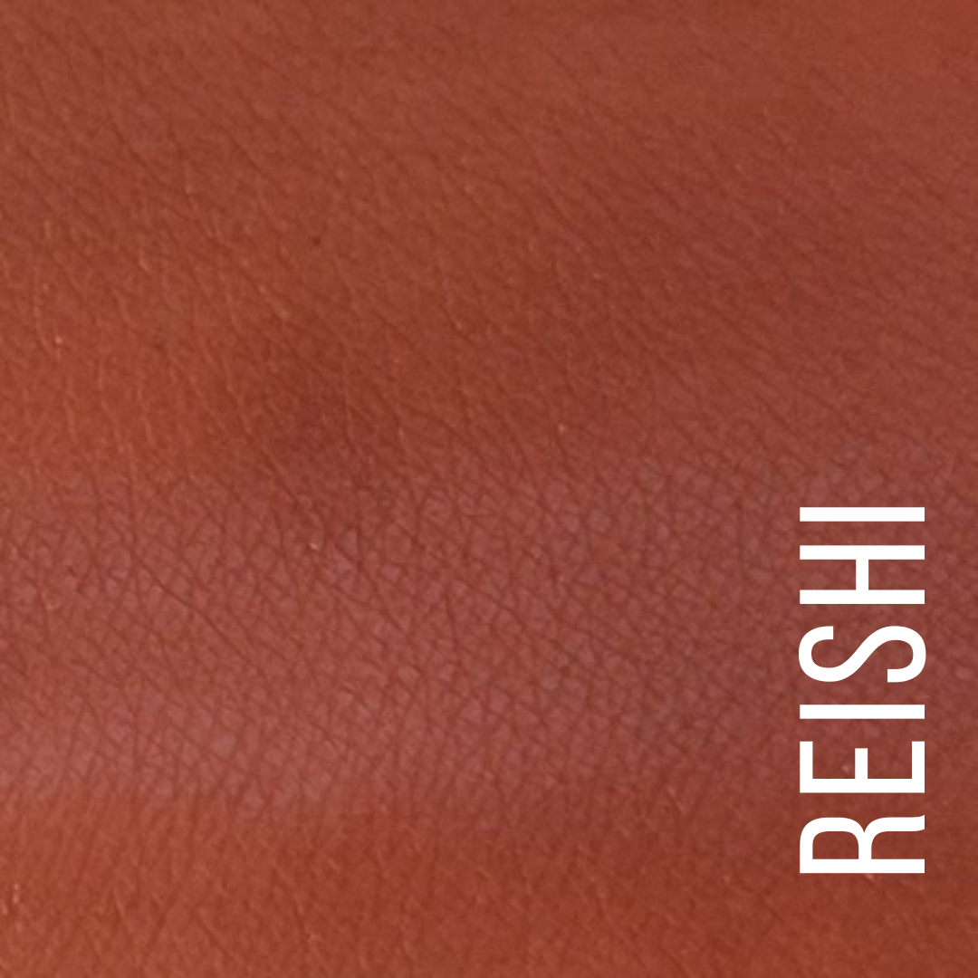 Terra Stoma - Wholesale Lipstick - LIP CHARM - Lipstick21