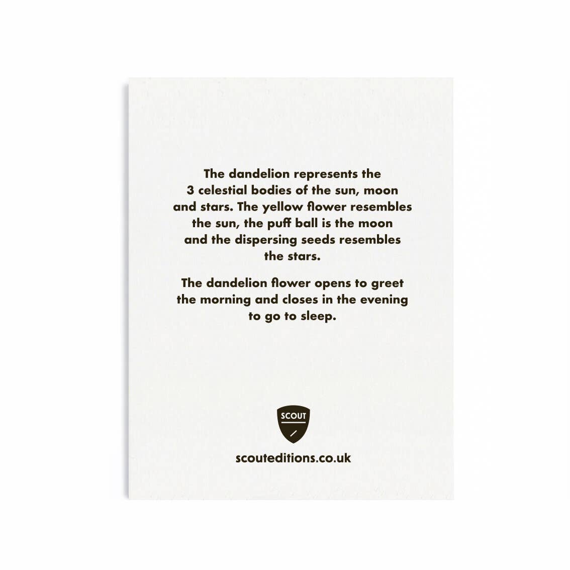 Scout Editions - Wholesale Everyday Greeting Card - Dandelion Mini Card1