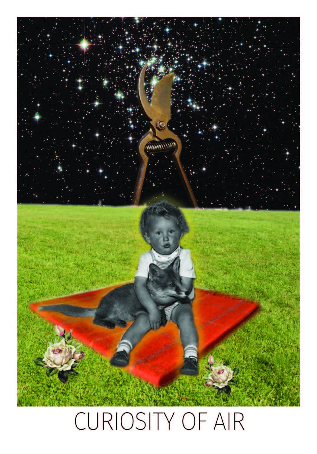 Red Wheel/Weiser LLC - Wholesale Tarot Cards - The Rosebud Tarot: 78 Cards & 96 Pg Full-Color Guidebook7