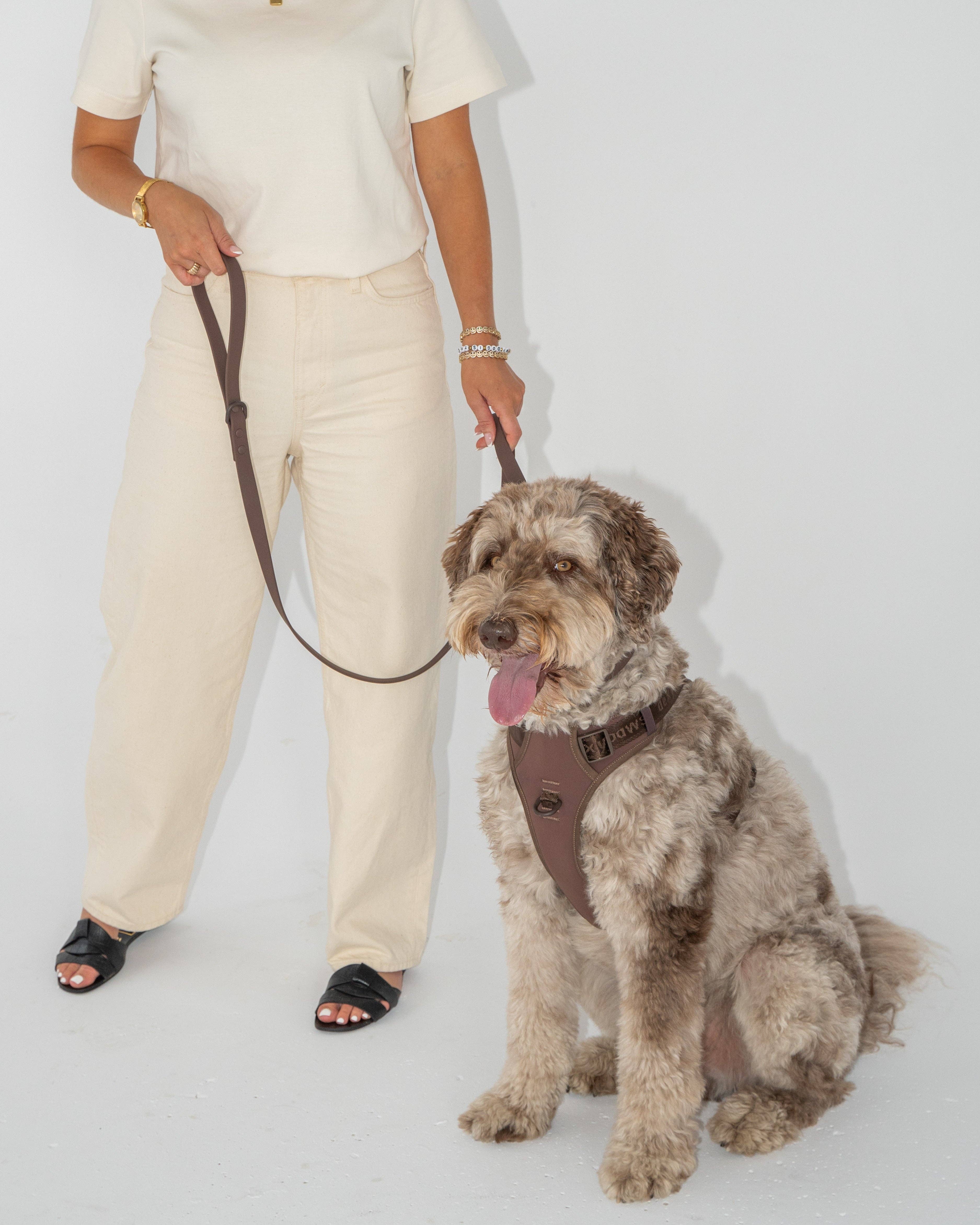 dexypaws - Vendita all'ingrosso Pettorina - Cani - Pettorina No-Pull per Cani – Colore Espresso2