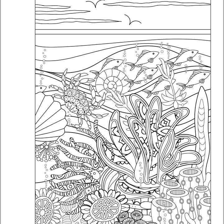Sourcebooks - Wholesale Coloring Book - Kids & Baby - Anxiety Relief Coloring Book for Teens